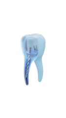 Dental steel post inside molar teeth, Xray view. Dental endodontic treatment 3D render illustration