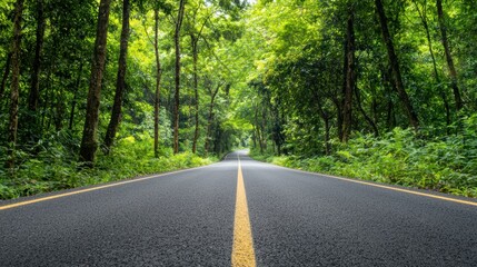 Fototapeta premium Serene Curved Asphalt Road with Double Yellow Lines on Transparent Background for Highway Isolation Concept