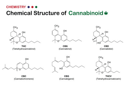 Chemical Structures of Various Cannabinoids Diagram
