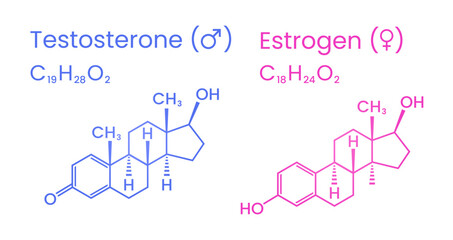 Testosterone and Estrogen Sex Hormones