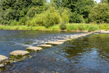 Square Stepping Stones Crossing River Ayr Near A77 Ayr Bypass, Scotland with green trees, bushes...