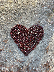 chestnut formed as heart