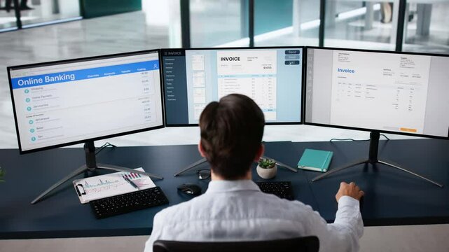 Accountant Using Finance E Invoice Software