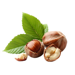 A pile of chestnuts on a white and transparent background. PNG cutout.

