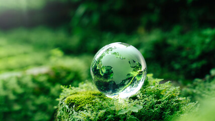 Crystal globe glass on green moss in forest to protect nature Save and care World for sustainable. concept of the environment ecology and Earth Day. eco environment and ESG concept.