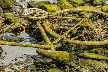Abandoned rusted bicycle caught in rocks in riverbed covered in green algae weed