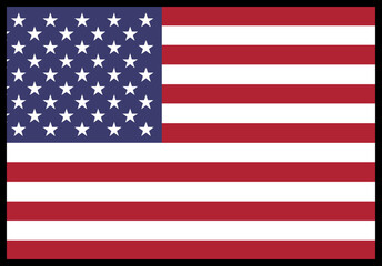 USA Flag rectangle Icon