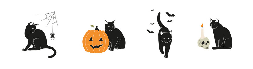 Set of black cat illustrations for Halloween celebration. Feline with carved pumpkin, spider web and other decorations in vector on white background