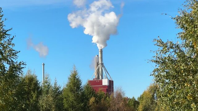 Smoke billowing from a pulp and paper factory, Finland