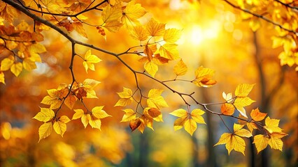 Obraz premium Golden Sunlight Illuminates a Branch of Vibrant Autumn Leaves Against a Warm, Hazy Background