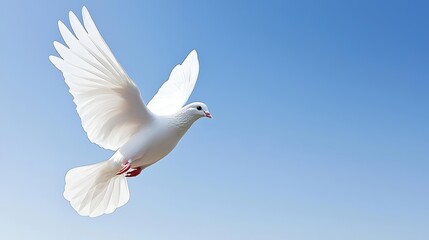 Fototapeta premium White dove in flight against a clear blue sky, symbolizing peace and harmony, ample copy space for text, high-end magazine photography, deep depth of field, Product photography with high resolution,