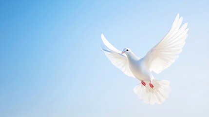 Fototapeta premium White dove in flight against a clear blue sky, symbolizing peace and harmony, ample copy space for text, high-end magazine photography, deep depth of field, Product photography with high resolution,