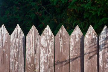 Close-up view of a wooden fence. Background for various uses.