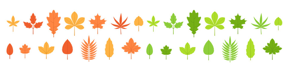 Autumn leaves. Leaf vector set. Green and yellow brown leaves. Spring leaves isolated sign.