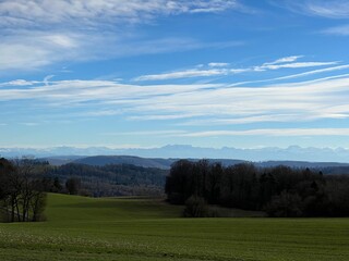 landscape with trees and sky