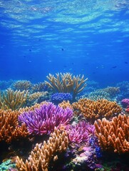 Obraz premium Vibrant coral reef teeming with life in a tropical ocean.