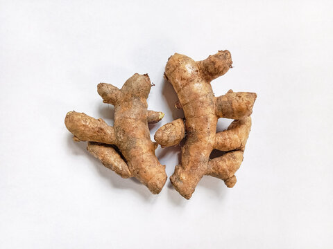 White turmeric on white background. White turmeric (Curcuma zedoaria). Fresh turmeric roots. Herb and medicinal plants. Flat lay. Top view.