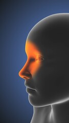 Sinus infection and nose pain