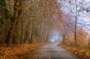 autumn in the park of Kastoria