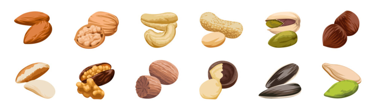 Nuts icon. Nuts icon set. Cartoon style. Vector