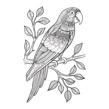 Stunning Parrot Mandala Art: Vector Illustrations and Designs