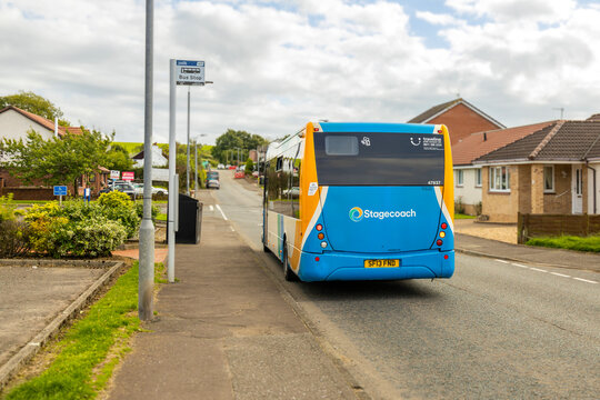 COYLTON, UK - AUGUST 10, 2024: Stagecoach Bus departs from a bus stop in a residential area with houses, pavement and road in background