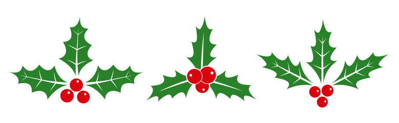 Christmas Holly. Holly leaves and berries, christmas decoration isolated on white background. Vector illustration.