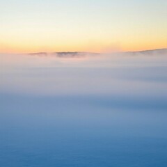 Fototapeta premium fog in nature