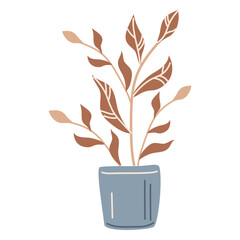 Benjamin's ficus flower in a pot. Vector illustration isolated on a white background