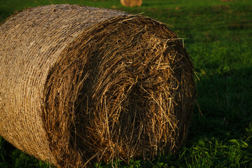  Hay Bales on Green Meadow