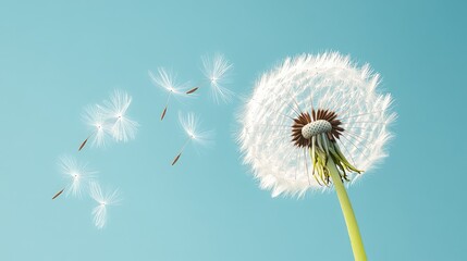Close-up of a dandelion seed head being blown by the wind, set against a bright blue sky, no people.