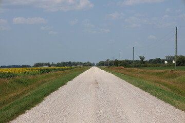 rural prairie gravel road flanked by fields of crops stretches to the horizon