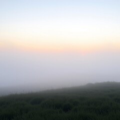 Obraz premium fog in nature