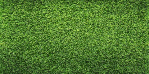 Fototapeta premium Beautiful Green Grass Texture from Top View