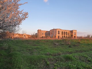 Abandoned castle at sunset, cherry blossoms, nature