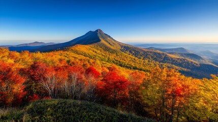  Towering mountain peak, autumn scenery with vibrant fall colors, clear sky with no clouds, crisp atmosphere, golden and red leaves.