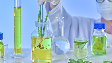 An aloe plant in a glass jar with a solution is dropped and observed by a scientist in a modern...