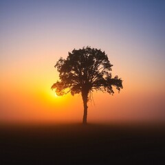 fog in nature