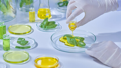 In a contemporary scientific facility, stocked with all necessary supplies and tools, an...