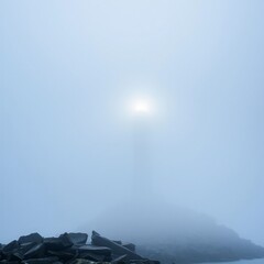 fog in nature