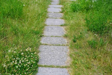 Simple, cheap narrow concrete slab walkway in the garden. The walkway is paved with single square concrete slabs.