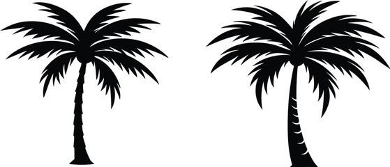 Palm tree silhouette vector illustration design