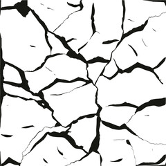 Detailed Black Cracked Surface on White Background