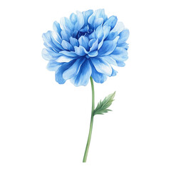 Obraz premium Close-up Dahlia Blue With Stem, Watercolor style Isolated Transparent, Generative AI
