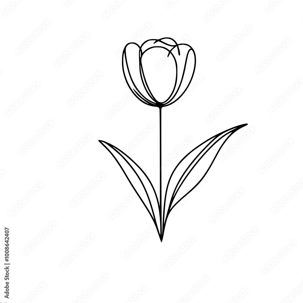 Poster linear vector contour drawing of a tulip with a stem and two leaves, done in a minimalist style with