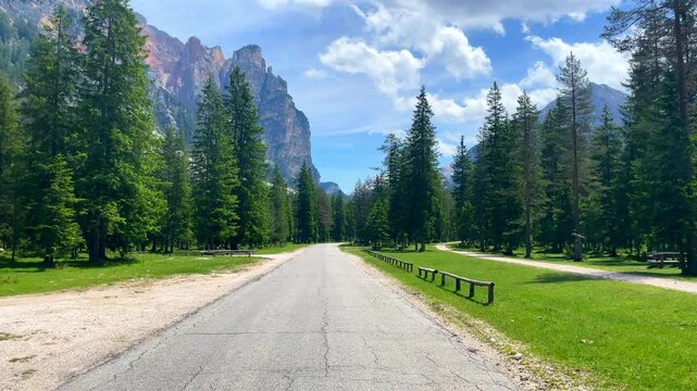 Road through Naturpark Tamersc or Parco Naturale di Tamersc in San Vigilio in the Dolomites during springtime