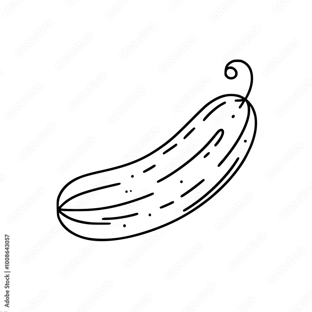 Poster linear vector contour drawing of a cucumber lying on the surface