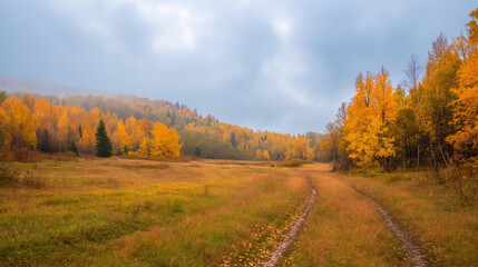 Fototapeta premium beautiful autumn landscape road to the forest, rainy weather