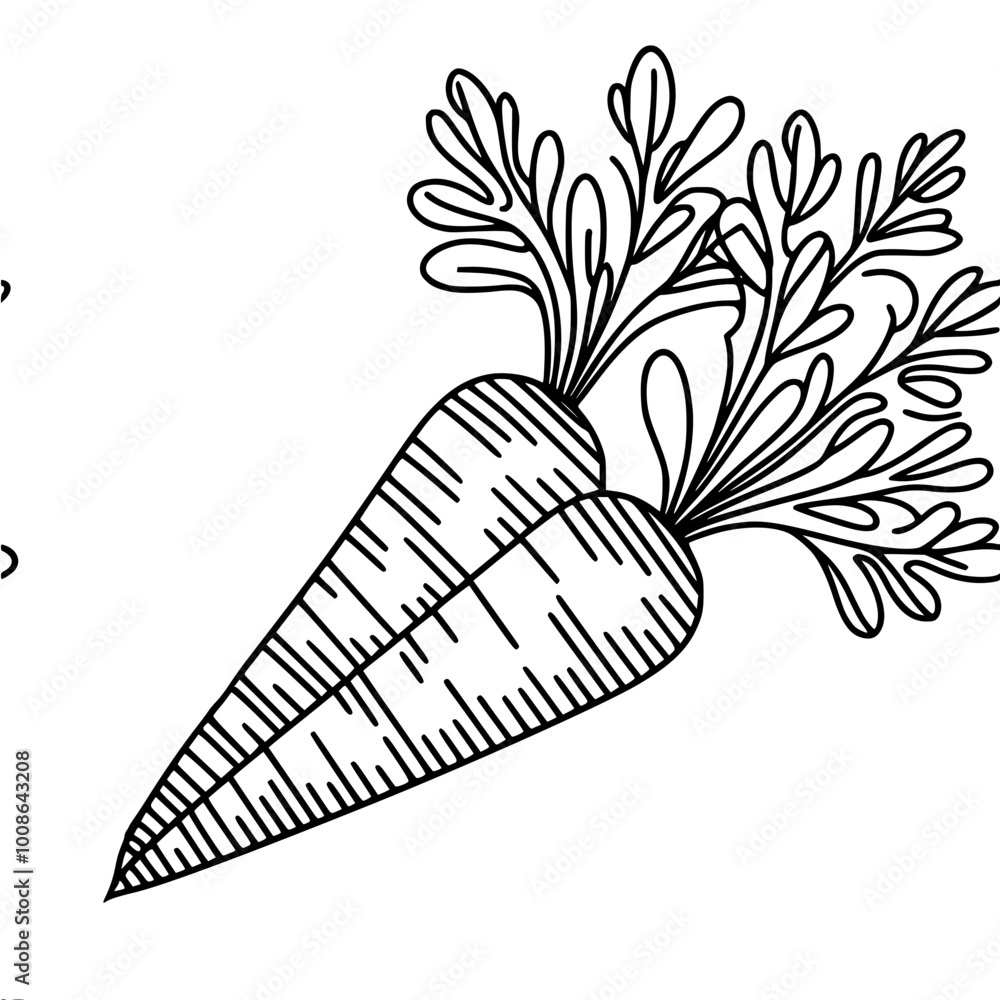 Poster linear vector contour drawing of two carrots with tops lying on the surface