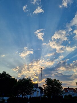 Evening Light Symphony